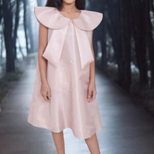 IMG_3368.jpeg Organza Dress
